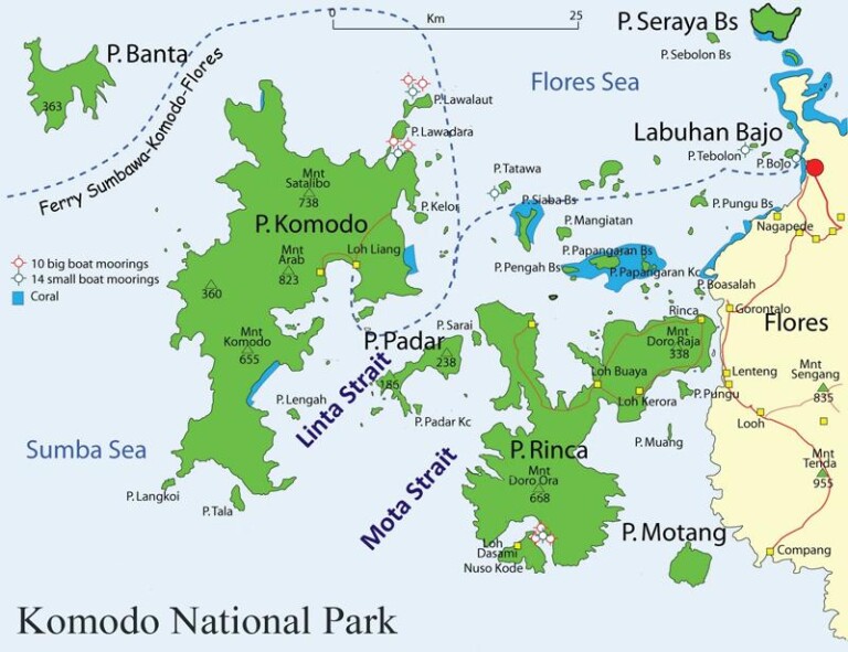Komodo Island Map 768x591 